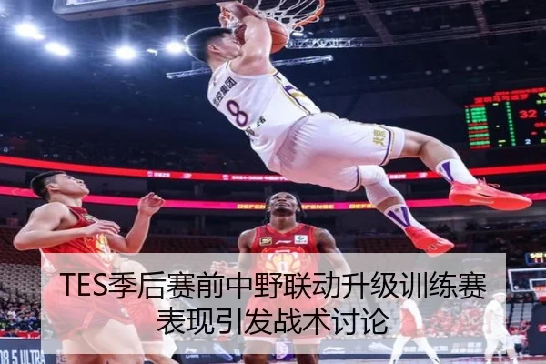 TES季后赛前中野联动升级训练赛表现引发战术讨论 - kaiyun